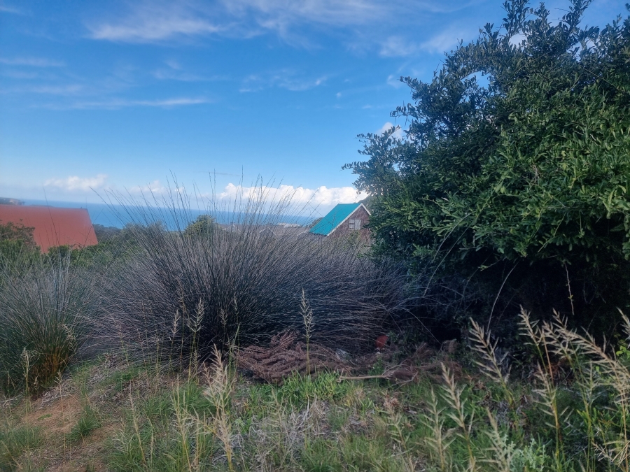 0 Bedroom Property for Sale in Dana Bay Western Cape